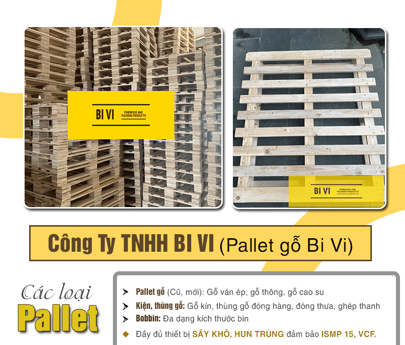 CÔNG TY TNHH BI VI