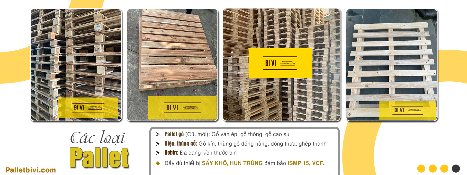 CÔNG TY TNHH BI VI