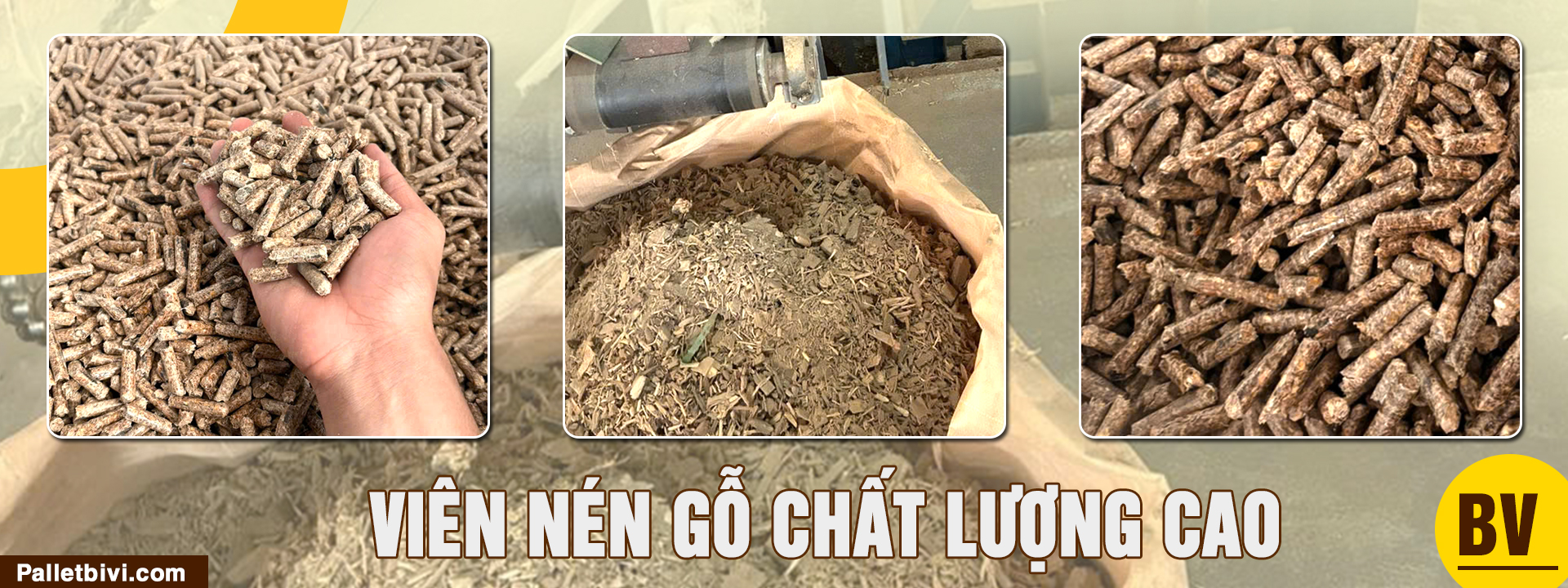 CÔNG TY TNHH BI VI