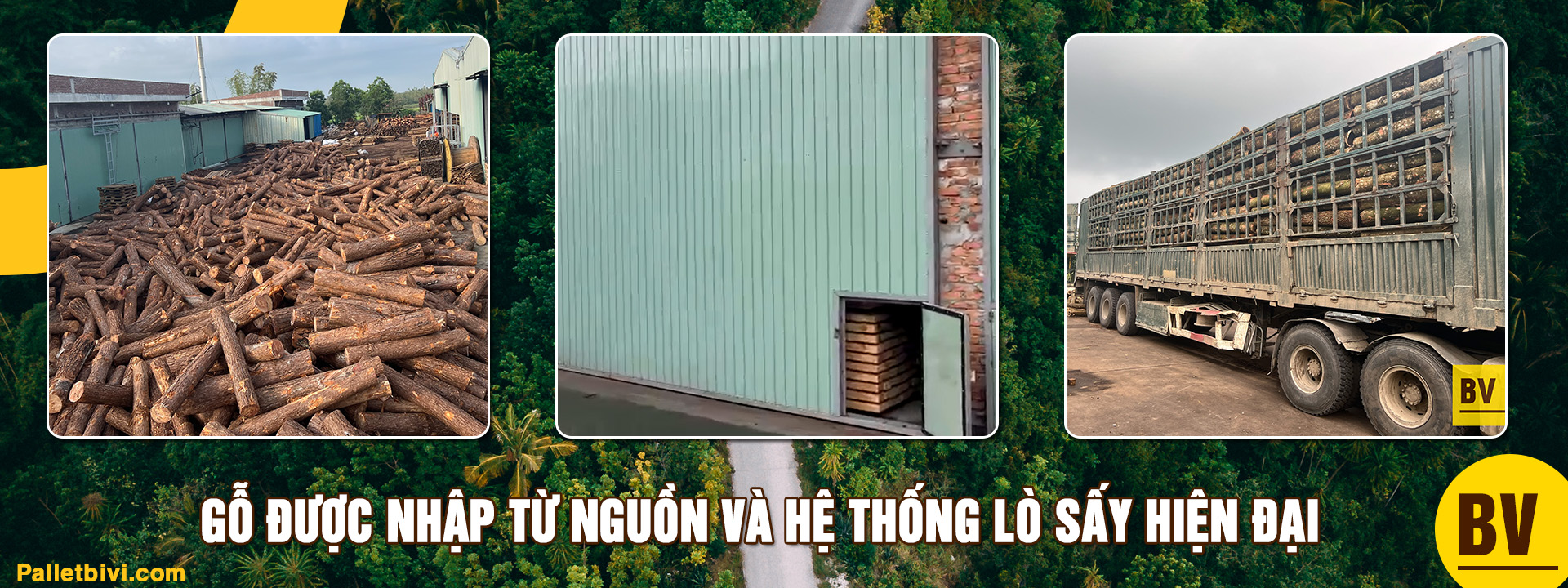CÔNG TY TNHH BI VI